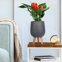 IDEALIST Lite Honeycomb Style Egg Planter on Legs, Round Pot Plant Stand Indoor