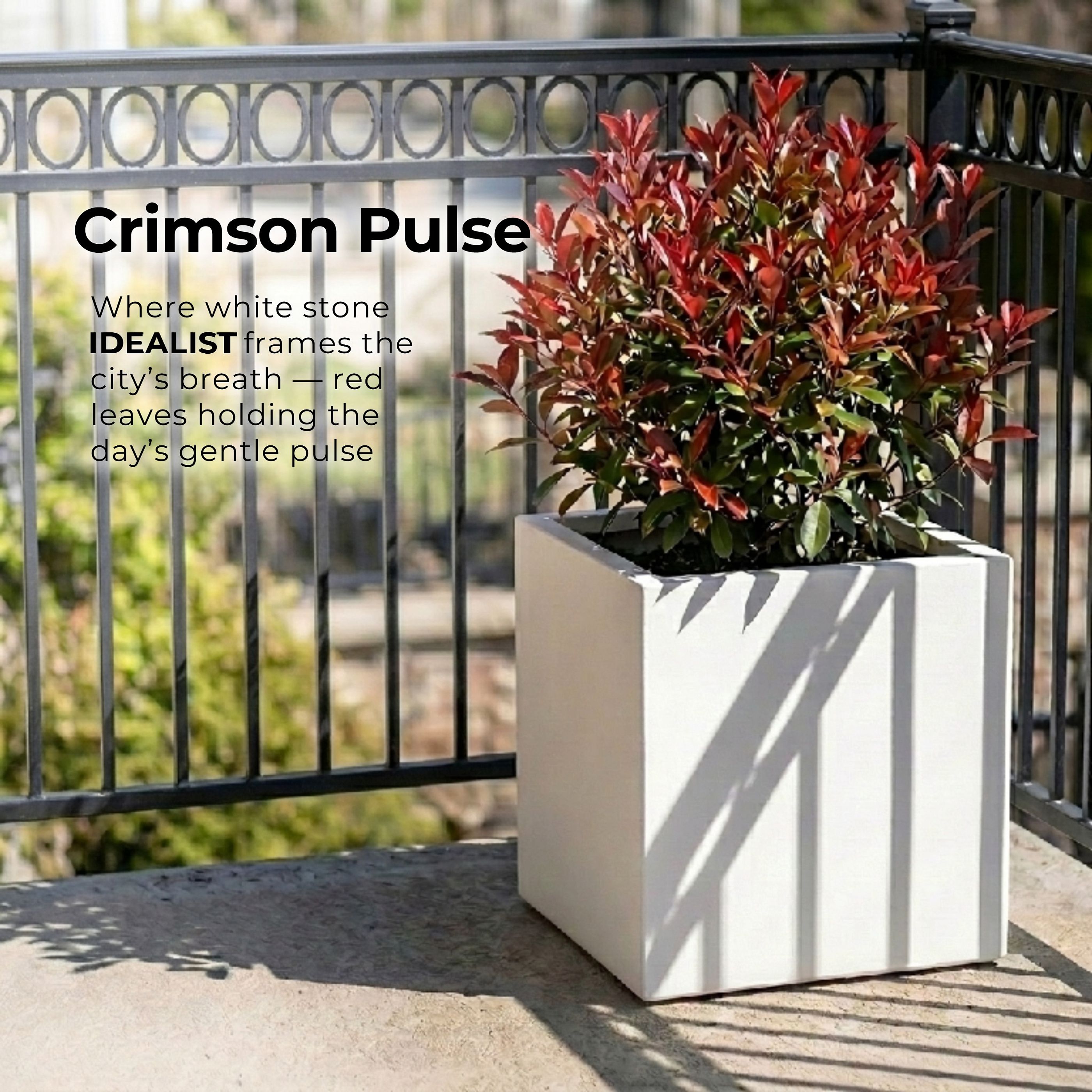 IDEALIST Lite Square Box Contemporary Light Concrete Planter