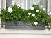 Adam Window Flower Box Fiberglass Trough Faux Lead Planter Pot In/Out 