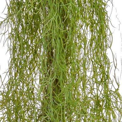 AirPlantTrail /Brown Artificial Grass Plant