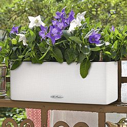 LECHUZA CUBE Color Triple Trough Poly Resin Self-watering Planter