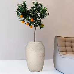 Tall Ficonstone Hera Round Vase Planter by Idealist Premium