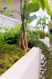 Fibrestone Jort Rectangle Planter by Idealist Premium