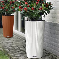 LECHUZA CILINDRO Color Round Tall Poly Resin Self-watering Planter