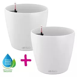 LECHUZA CLASSICO Color Round Poly Resin Self-watering Planter Set