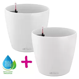 LECHUZA CLASSICO Color Round Poly Resin Self-watering Planter Set