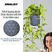 IDEALIST Lite Diamond Style Table and Hanging Cylinder Round Plant Pot Dual Use Indoor Planter