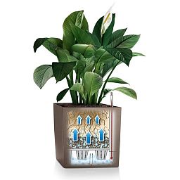 LECHUZA CUBE Square Poly Resin Self-watering Planter
