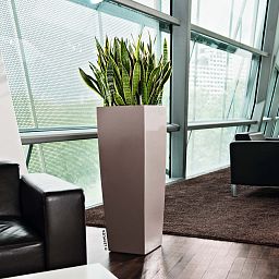 LECHUZA CUBICO ALTO Square Tall Poly Resin Self-watering Planter