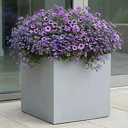 IDEALIST Lite Square Box Contemporary Light Concrete Planter