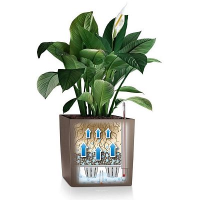 LECHUZA CUBE Square Poly Resin Self-watering Planter