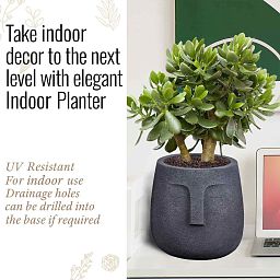 IDEALIST Lite Textured Concrete Effect Oval Indoor Face Pot
