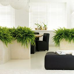 Trough Polystone Planter by Fleur Ami DIVIDE