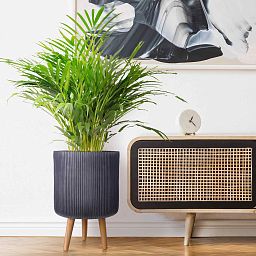 IDEALIST Lite Ribbed Cylinder Planter on Legs, Round Pot Plant Stand Indoor