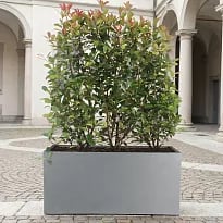 IDEALIST Lite Contemporary Trough Garden Planter, Grey Light Concrete ...