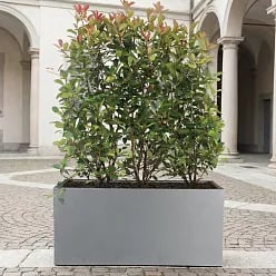 IDEALIST Lite Contemporary Light Concrete High Trough Planter