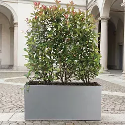 IDEALIST Lite Contemporary Light Concrete High Trough Planter