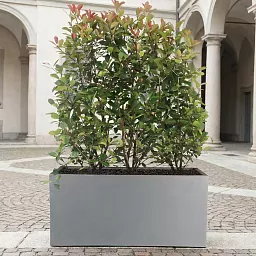 IDEALIST Lite Contemporary Light Concrete High Trough Planter