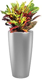 Codiaeum Mix Colour Extravaganza in LECHUZA RONDO Self-watering Planter, Total Height 100 cm