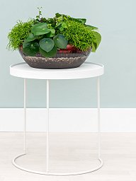 Amora Bowl Glazed Clay Planter