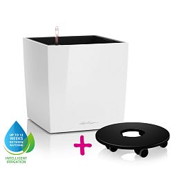 LECHUZA CUBE Square Poly Resin Self-watering Planter