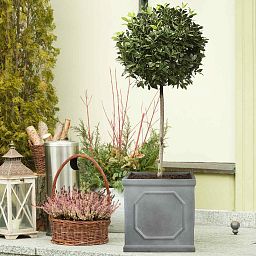 IDEALIST Lite Faux Lead Chelsea Box Square Light Concrete Planter