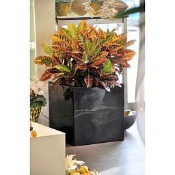 PREMIUM CUBUS Square Fiberglass Planter