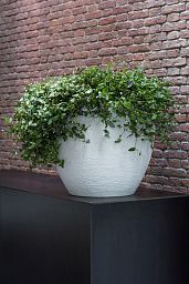 Fibrestone Jesslyn Round Planter by Idealist Premium