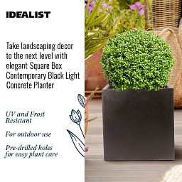 IDEALIST Lite Square Box Contemporary Light Concrete Planter Set