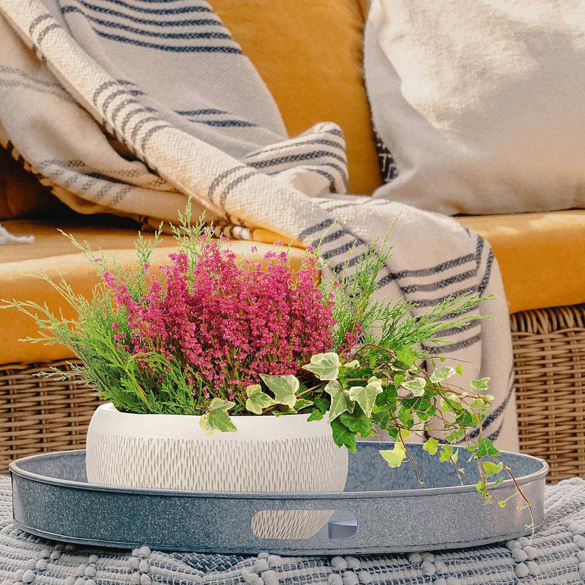 Mesh Style Bowl Planter Outdoor Plant Pot by Idealist Lite