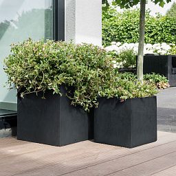 IDEALIST Lite Square Box Contemporary Light Concrete Planter