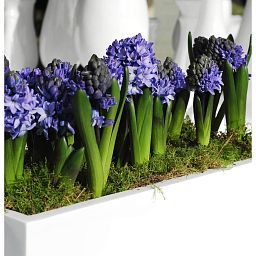 WINDOW BOX Fiberstone Planter by Idealist Premium Balcony Glossy