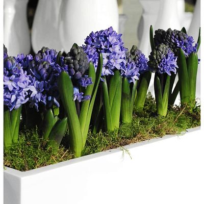 WINDOW BOX Fiberstone Planter by Idealist Premium Balcony Glossy