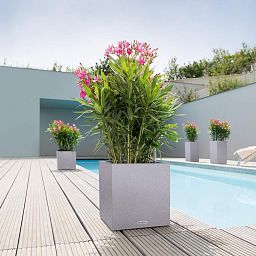 LECHUZA CANTO Stone Low Square Poly Resin Self-watering Planter