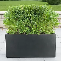 IDEALIST Lite Contemporary Trough Garden Planter, Faux Lead Dark Grey ...