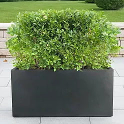 IDEALIST Lite Contemporary Light Concrete High Trough Planter