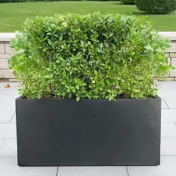 IDEALIST Lite Contemporary Light Concrete High Trough Planter