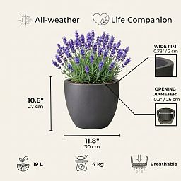IDEALIST Lite Contemporary Light Concrete Egg Planter