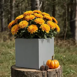 IDEALIST Lite Square Box Contemporary Light Concrete Planter