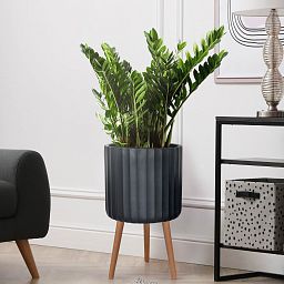 IDEALIST Lite Modern Ribbed Cylinder Planter on Legs, Round Pot Plant Stand Indoor