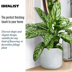 IDEALIST Lite Honeycomb Style Table and Hanging Cylinder Round Plant Pot Dual Use Indoor Planter