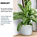 Honeycomb Style Table and Hanging Cylinder Round Plant Pot Dual Use Indoor Planter by Idealist Lite