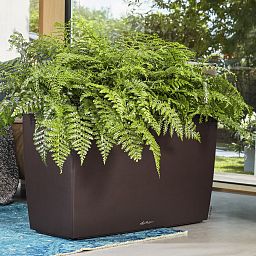 LECHUZA CARARO Trough Poly Resin Self-watering Planter