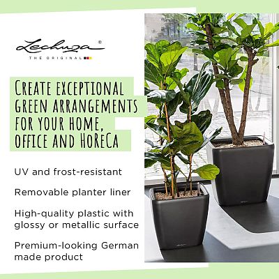 LECHUZA Quadro LS Square Poly Resin Self-watering Planter