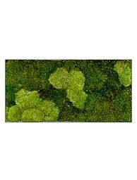 Moss Painting Stiel L Rectangle