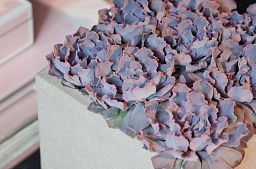 Square Fiberstone Planter by Idealist Premium BLOCK Glossy