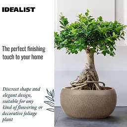 IDEALIST Lite Mesh Style Bowl Planter Outdoor Plant Pot