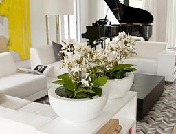 Fiberstone Glossy Vic Bowl Planter by Idealist Premium