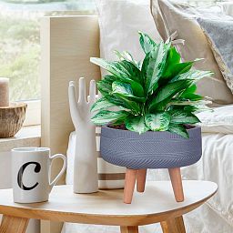 IDEALIST Lite Striped Tray Round Planter on Legs, Round Pot Plant Stand Indoor