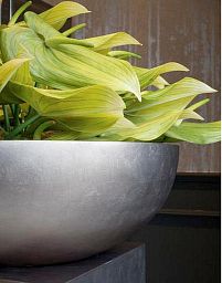 ROYAL Bowl Polystone Planter